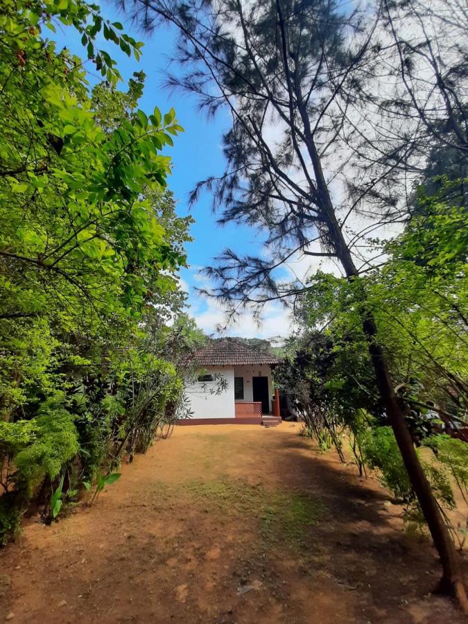 Tusker Tribe Hostel Гокарна Екстериор снимка