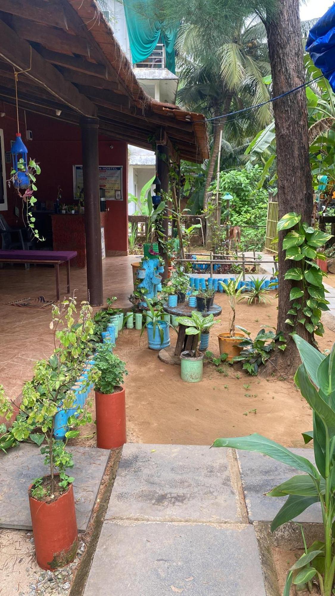 Tusker Tribe Hostel Гокарна Екстериор снимка